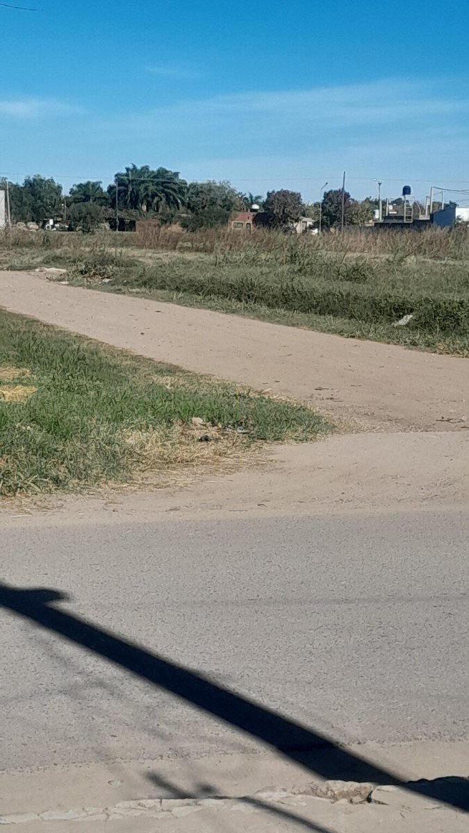 Foto del reporte